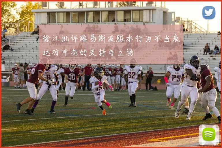 徐江批评路易斯泼脏水行为不当表达对申花的支持与立场